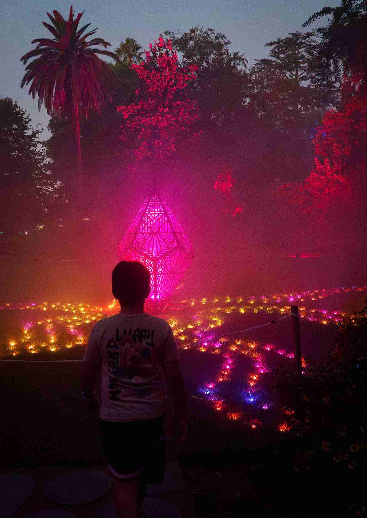 Illuminated garden path at night