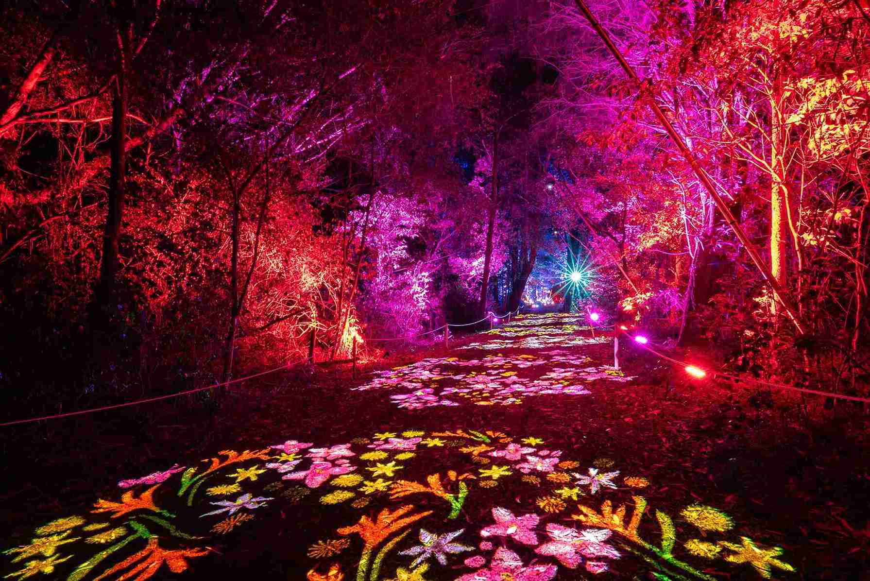 Night walk through the illuminated gardens